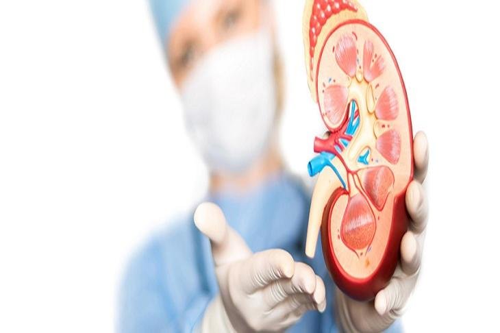 Urology