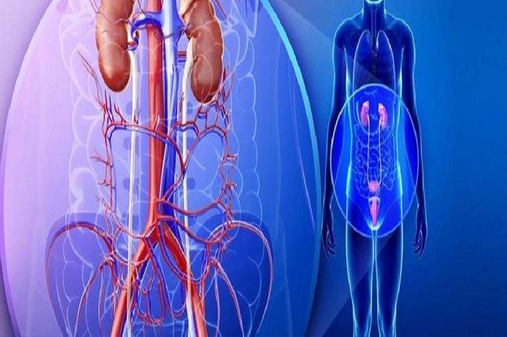 Urology