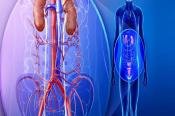 Urology
