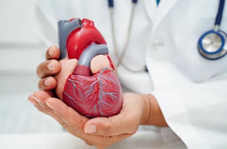 Cardiology